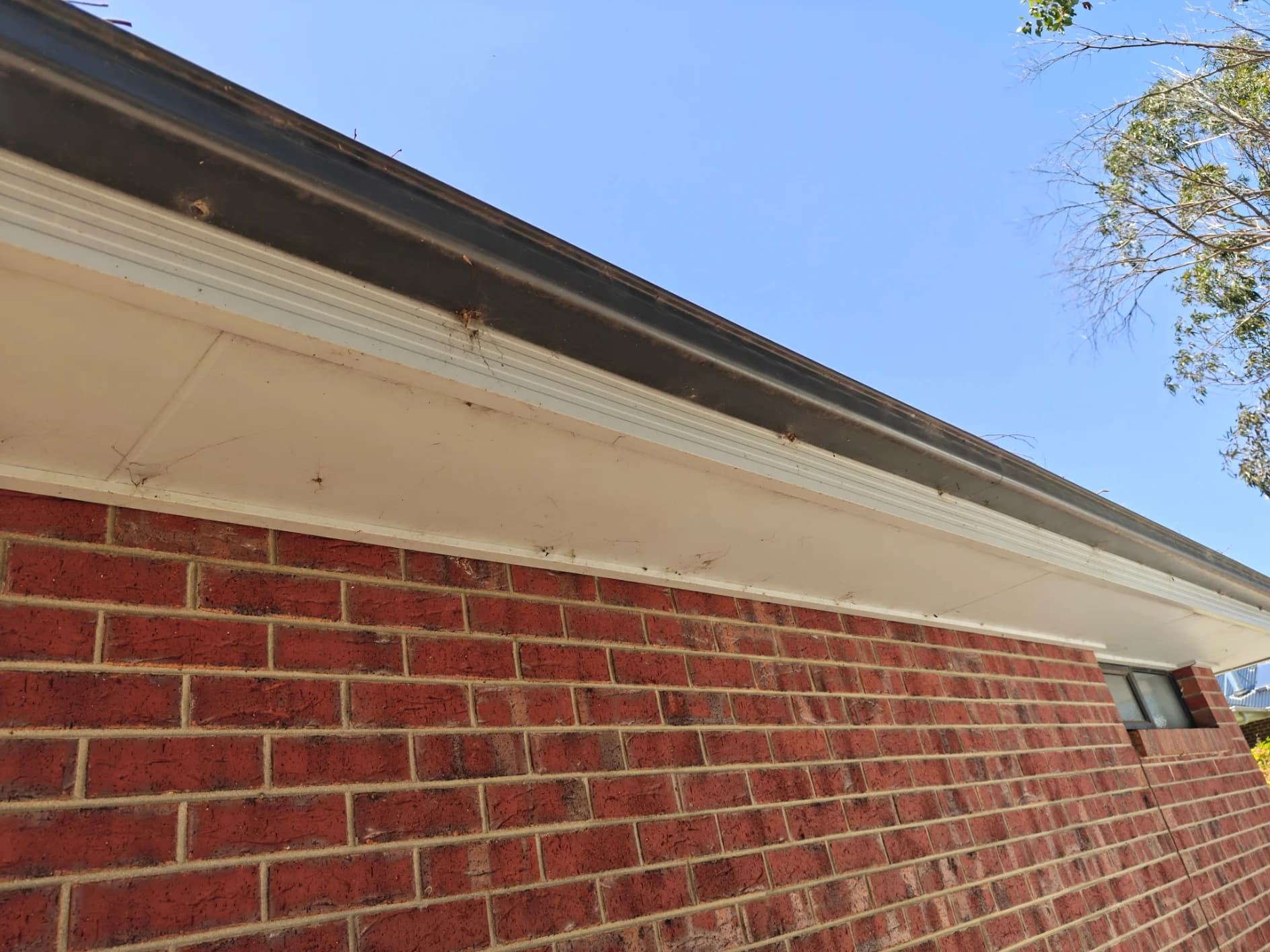 Roof eaves before pressure washing